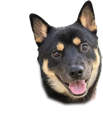카야